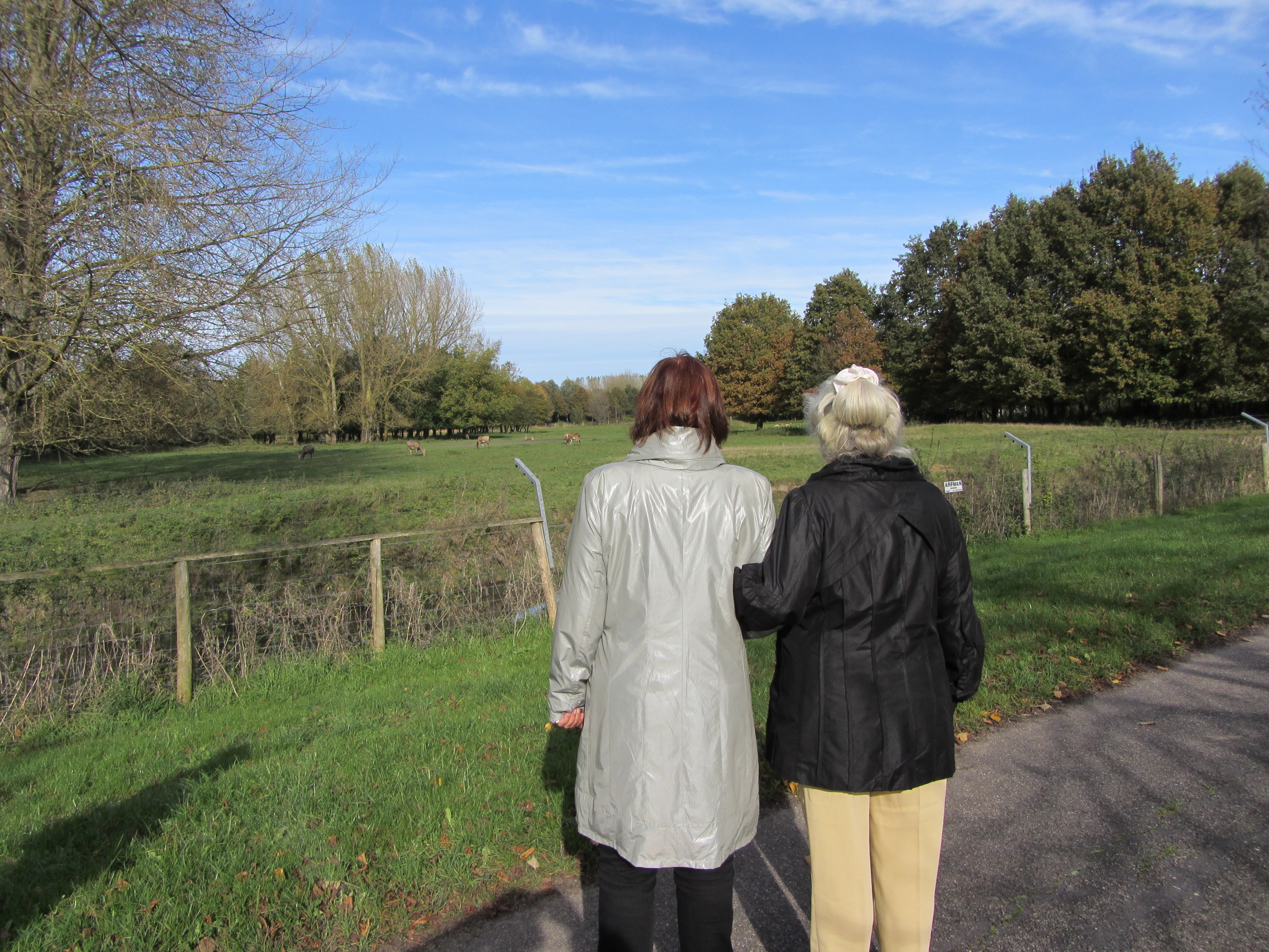 Ipad Marianne 076.JPG